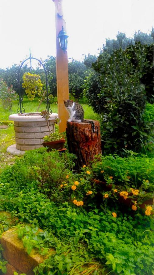 Villa Il Giardino Del Sole Agnone Bagni Exterior foto