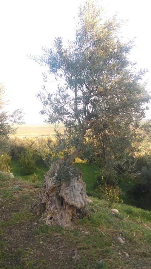 Villa Il Giardino Del Sole Agnone Bagni Exterior foto
